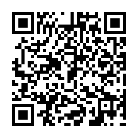 QR code for plate N1Z 369
