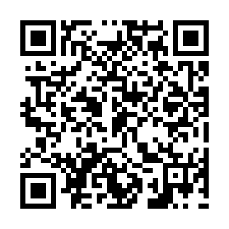 QR code for plate N1Z 375
