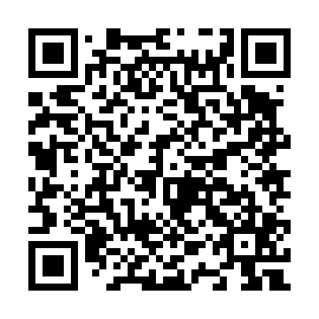 QR code for plate N1Z 405
