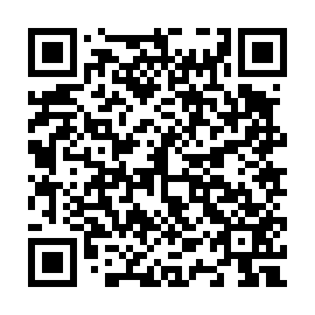 QR code for plate N1Z 453