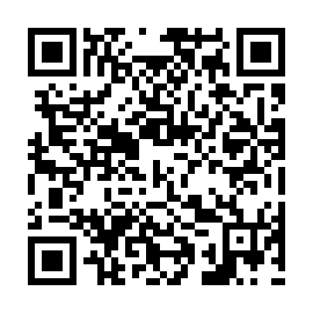 QR code for plate N1Z 574
