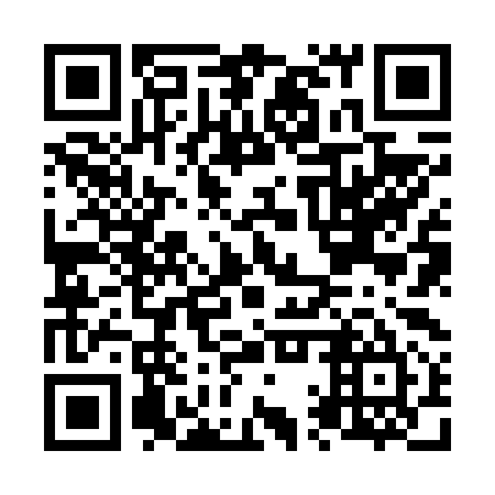 QR code for plate N1Z 695