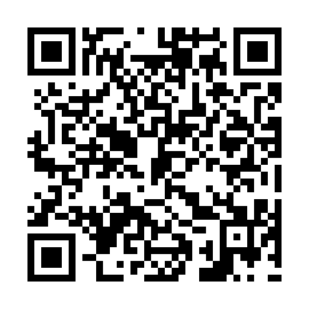 QR code for plate N1Z 711