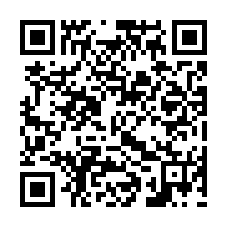 QR code for plate N1Z 775