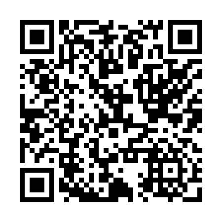 QR code for plate N1Z 817