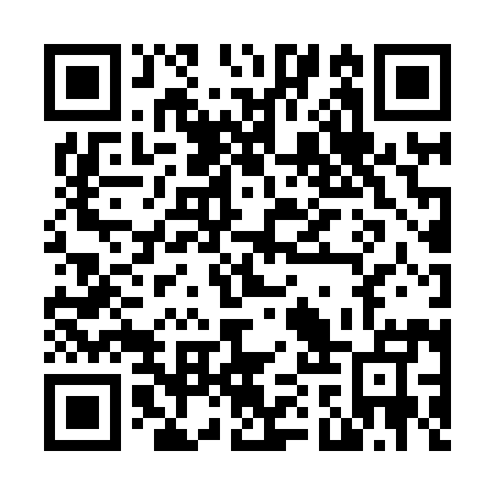 QR code for N1Z895