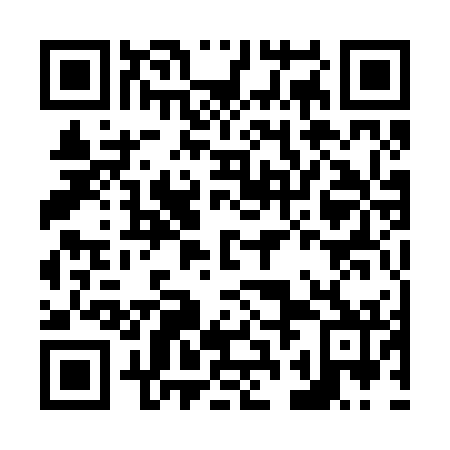 QR code for N2A 272