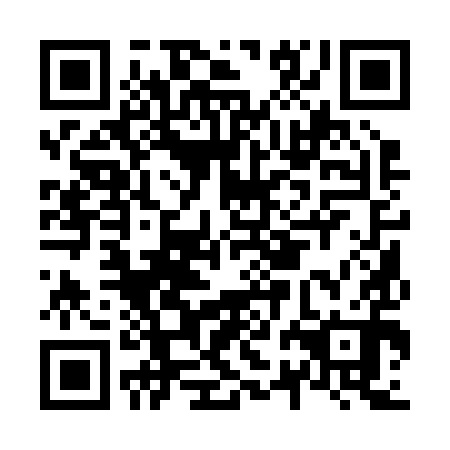 QR code for N2A 290