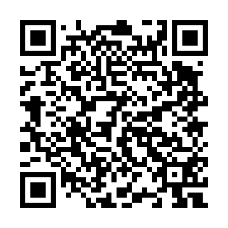 QR code for N2A 450