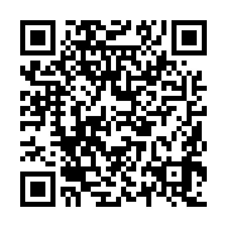 QR code for N2A 599