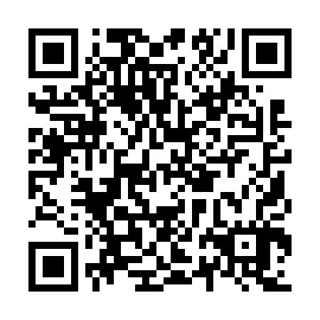 QR code for N2A 607