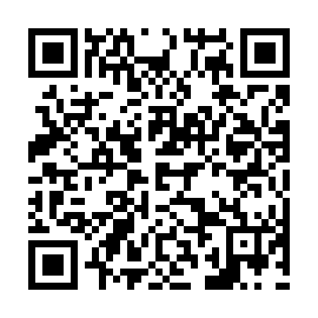 QR code for N2A 646