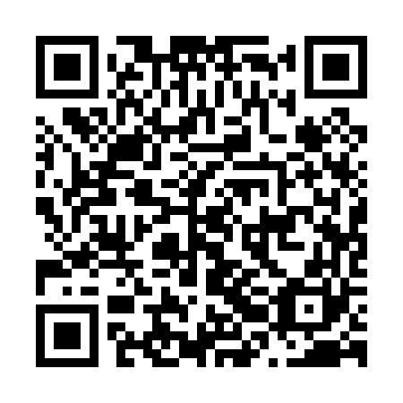 QR code for N2A060