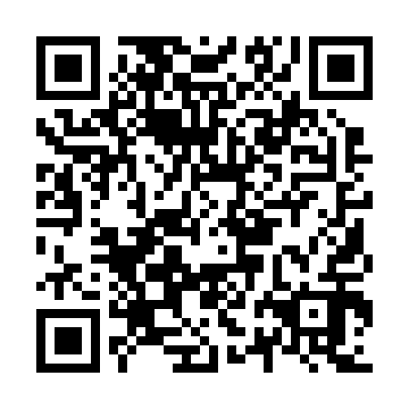 QR code for N2A212