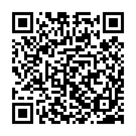 QR code for N2A493