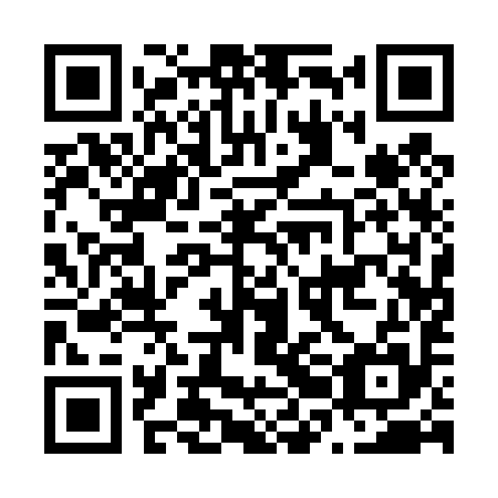 QR code for N2A495