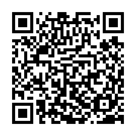 QR code for N2A665