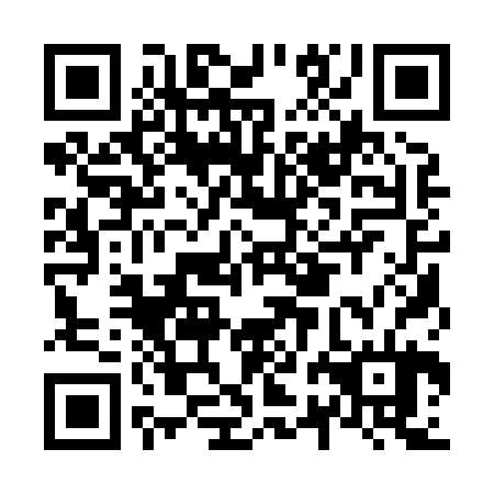QR code for N2A824