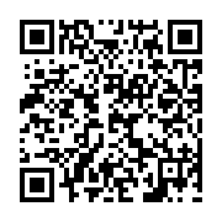 QR code for N2A996