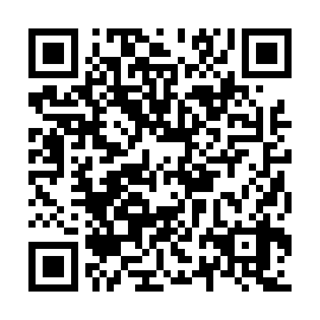 QR code for N2B 438