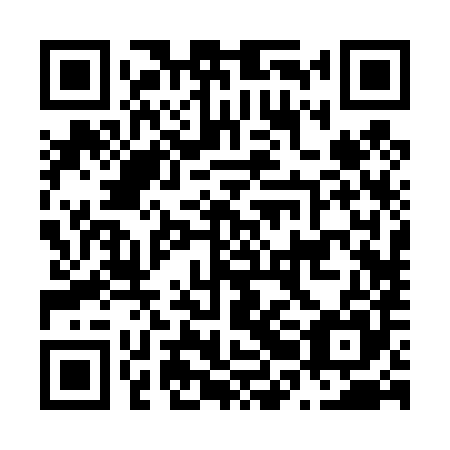 QR code for N2B 485