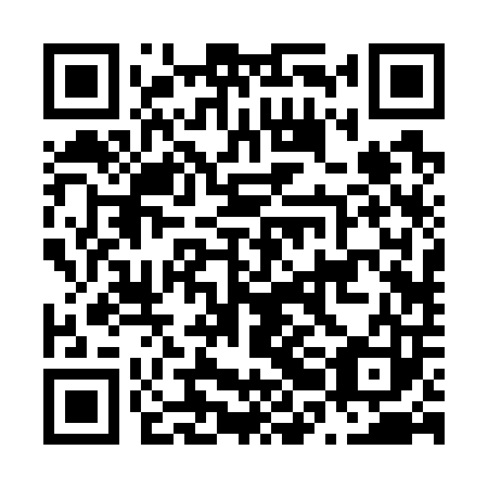 QR code for N2B 703