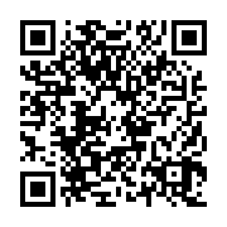 QR code for plate N2B 008