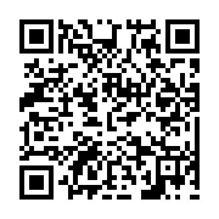 QR code for N2B447