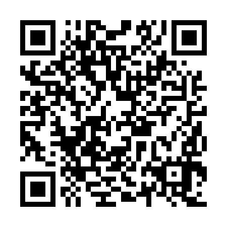 QR code for N2B597