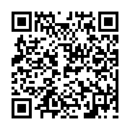 QR code for N2C 290