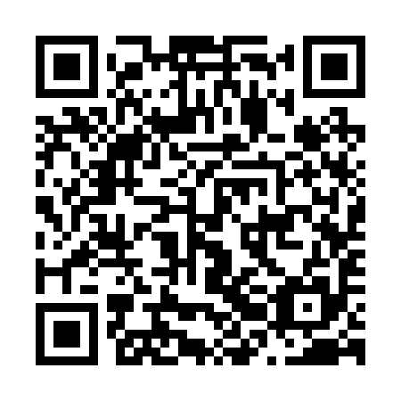 QR code for N2C 295
