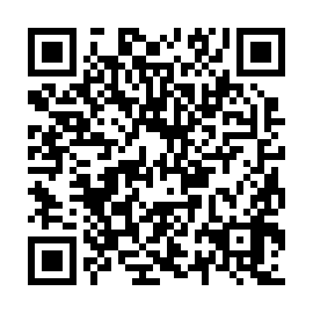 QR code for N2C 298