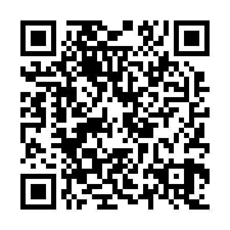 QR code for N2D 229
