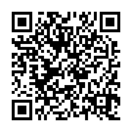 QR code for N2D 234