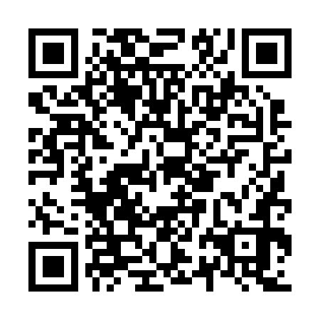 QR code for N2D 272