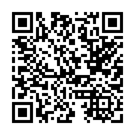 QR code for N2D 293