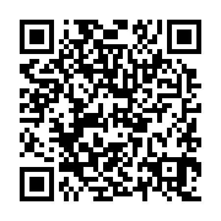 QR code for N2D 381