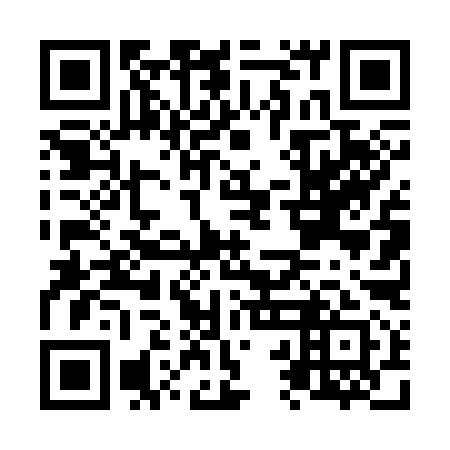 QR code for N2D 391