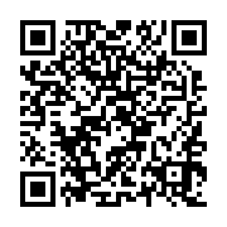 QR code for N2D250