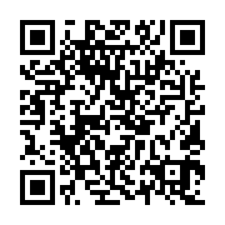 QR code for N2E 541