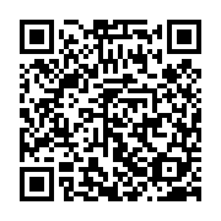 QR code for plate N2E 449