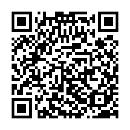 QR code for plate N2E 581