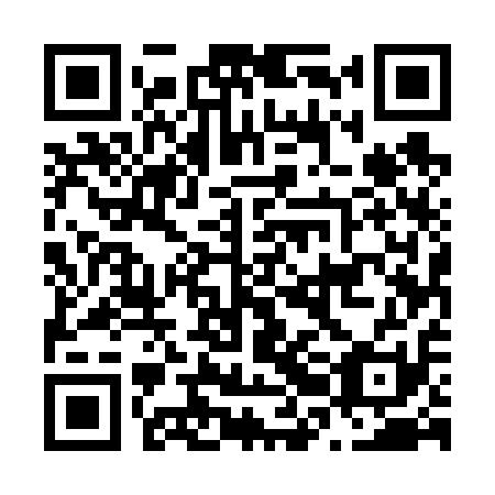 QR code for plate N2E 611