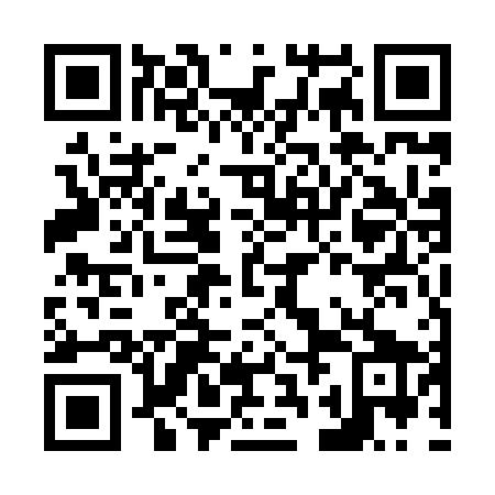 QR code for plate N2E 869