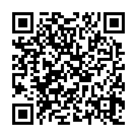 QR code for N2F 338