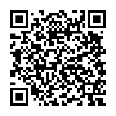 QR code for N2F410