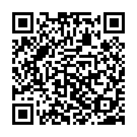 QR code for N2G 099