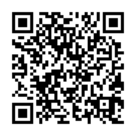 QR code for N2G 341