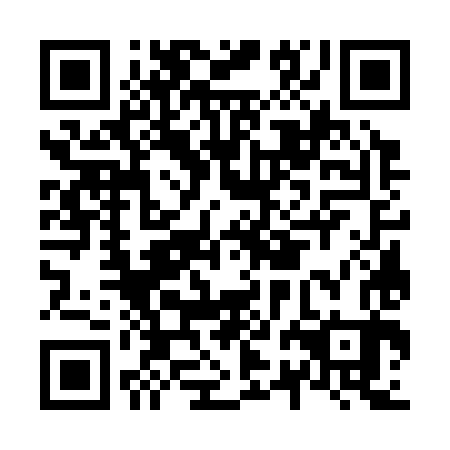 QR code for N2G 383