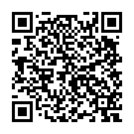 QR code for N2G 412
